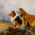 Wonderful animal canvas decor art oil painting -Wolves