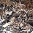 Handmade animal canvas decor art oil painting -Wolves family