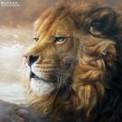 Handmade animal canvas decor art oil painting -Lion