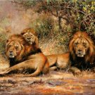 Wonderful animal canvas decor art oil painting -Lions