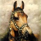 Wonderful animal canvas decor art oil painting -horse