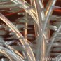Home contemporary abstract Metal painting -silver Tree Met25