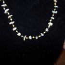 Natral Shell Necklace