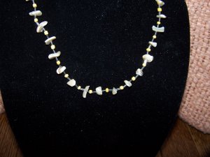 Natral Shell Necklace