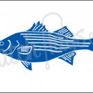 Striped Bass Decal