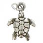 Turtle Charm