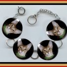 ABYSSINIAN EXOTIC Pet Cat Altered Art Button Charm Bracelet with Rhinestone