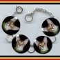 ABYSSINIAN EXOTIC Pet Cat Altered Art Button Charm Bracelet with Rhinestone