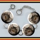 MAINE COON Exotic Pet Cat Altered Art Button Charm Bracelet with Rhinestone
