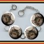 MAINE COON Exotic Pet Cat Altered Art Button Charm Bracelet with Rhinestone