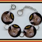 OCICAT EXOTIC Pet Cat Altered Art Button Charm Bracelet with Rhinestone