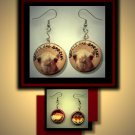 CAMELS ARE SPECIAL Altered Art Dangle Badge Earrings with Rhinestone