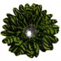 Lime Green & Zebra Daisy