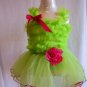 Lime Green & Hot Pink Tutu Dress (3)