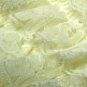 Medium Ivory Lace Petti Top