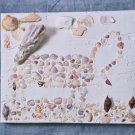 Dinosaur Seashells Design