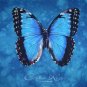 NEW WT COSTA RICA  ZID HOVENGA  BUTTERFLY BLUE TIE DYED T-SHIRT WOMANS S