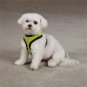 Dog Body Harness
