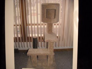 Tree House