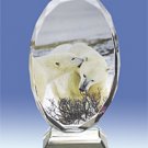 Personalized Photo Crystal Gift - Medium Oval