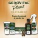 Gerovital Plant Treatment