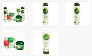GEROVITAL PLANT 20+ Pack