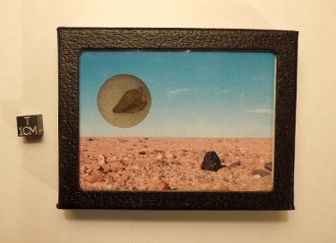 Saharan Meteorite Display, Genuine Space Rock from Moroccan Desert