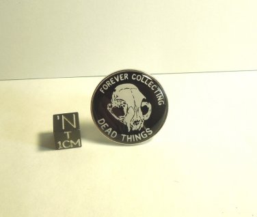 Fossil Skull Pin, Forever Collecting Dead Things