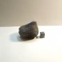 Glyptodont Tail Spike, Glyptotherium Floridanum, Pleistocene