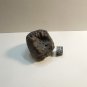 Glyptodont Tail Spike, Glyptotherium Floridanum, Pleistocene