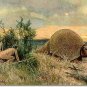 Glyptodont Tail Spike, Glyptotherium Floridanum, Pleistocene
