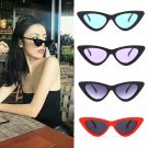 Cat Eye Triangle Sunglasses UV400 Eyewear Glasses