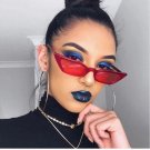 Small Vintage Glasses UV400 Eyewear Shades