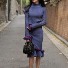 Temperament Thicker Slim Women Sweaters Dress 2017 Autumn New Fashion Long Sleeve Women Dress Cotton