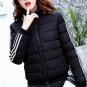 Fashion 2017 Winter Women Down Jackets Side Stripe Short Basic Cotton Padded Coats Outwear Parka Plu