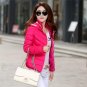 Down Parka Cotton Jacket 2017 Winter Jacket Women Thick Snow Wear Coat Lady Clothing Female Jackets