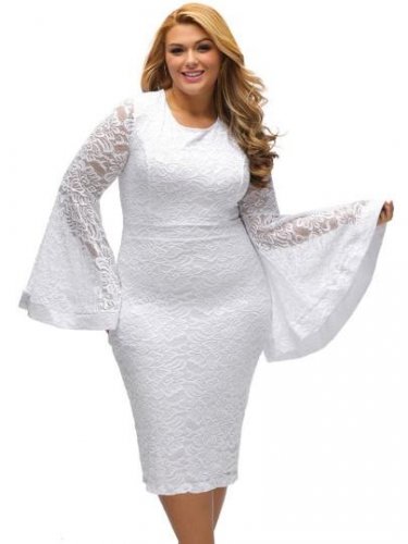 Bell Sleeve Lace Women\'s Sheath Dress