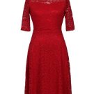 Half Sleeve Back Zipper Women\'s Lace Dress
