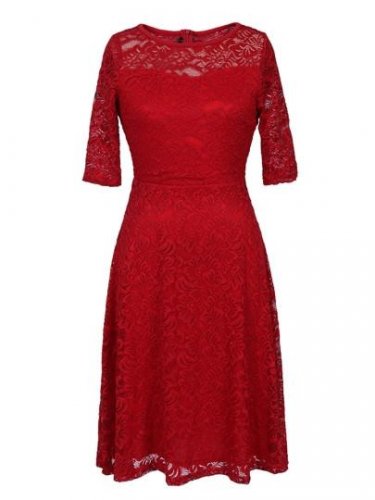 Half Sleeve Back Zipper Women\'s Lace Dress