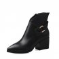 shoes 2017 sexy point toe ankle boots square heel buckle charm zipper black boat red wine winter dan