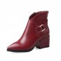 shoes 2017 sexy point toe ankle boots square heel buckle charm zipper black boat red wine winter dan