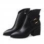 shoes 2017 sexy point toe ankle boots square heel buckle charm zipper black boat red wine winter dan
