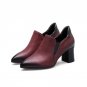 Genuine Leather Pumps Shoes for Women Pointed toe Zipper Footwear Thick High Heels Shoes Woman Pigsk