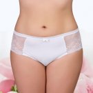 2017 Womens Ultrathin Sexy Lace Panties 95% Cotton + 5% Spandex Low-Rise Undies Lady Underwear Plus 