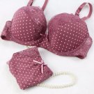 2017 Women Fashion Bra Set Push Up Plunge Vs Dot Printed Underwire Everyday Underwear C Cup Lingerie