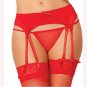 Floral Lace Sexy Garter Belt Sets 2017 New Style Women\'s Sexy Lingerie Panties Black Transparent P