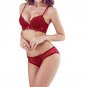 Hot Sell Women Embroidery Lace Underwear Push-Up Padded Bra Set Brassiere Solid Lingerie Set Vs Unde