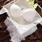 Women Lace Sexy Push Up Bra Brassiere and Panty Set Cotton Embroidery Underwear Lingerie Sets