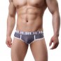 Sexy Men Ventilation Underwear High Quality Boxers Men Shorts AG L