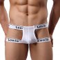 Low-waisted Ventilation Men Underwear hollow out Briefs Angle Underpants BG L